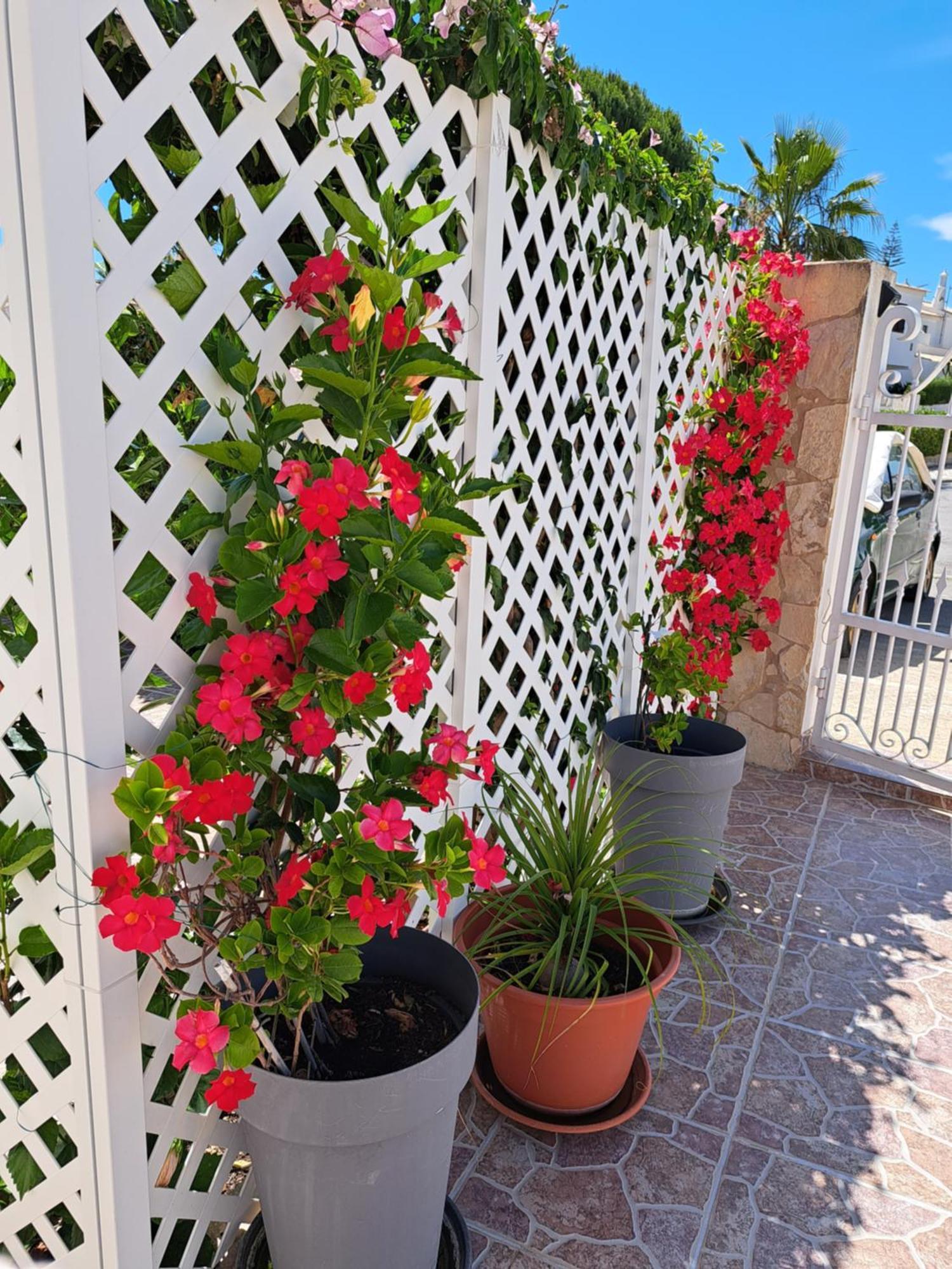 Villa Mariamar Albufeira Ngoại thất bức ảnh